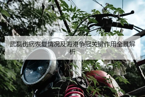 武磊伤病恢复情况及海港争冠关键作用全景解析
